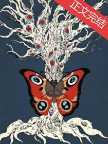 昆虫学家不会梦到孔雀蛾